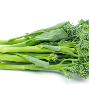 TENDERSTEM®NOVELD
