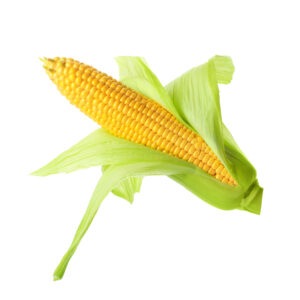 SWEET CORN
