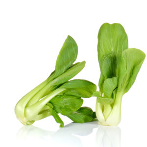 BABY SHANGAI PAK CHOI